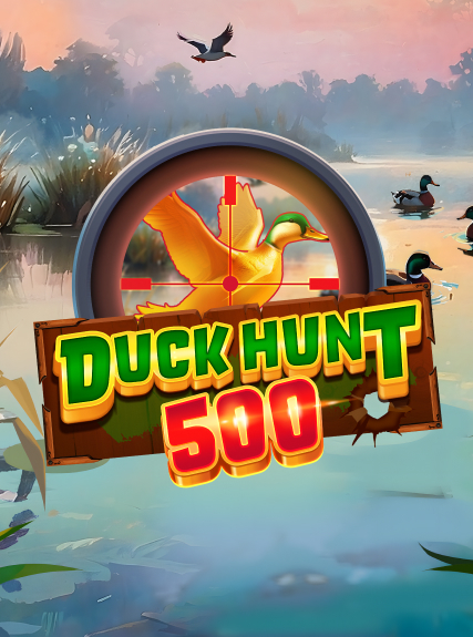 Duck Hunt 500